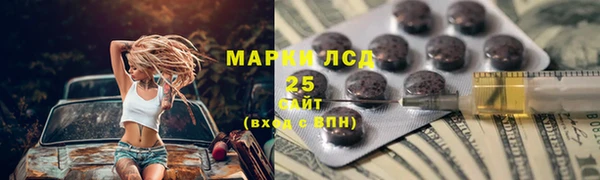 хмурый Алзамай