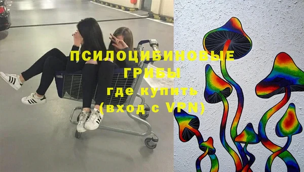 хмурый Алексеевка