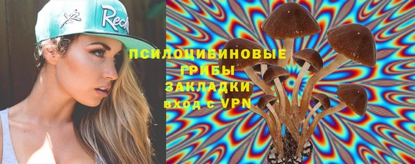 хмурый Алексеевка