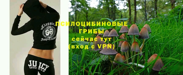 хмурый Алексеевка