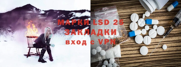 хмурый Алзамай