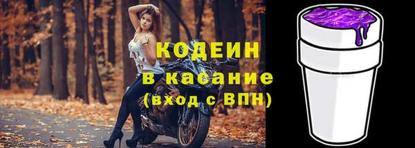 хмурый Алзамай